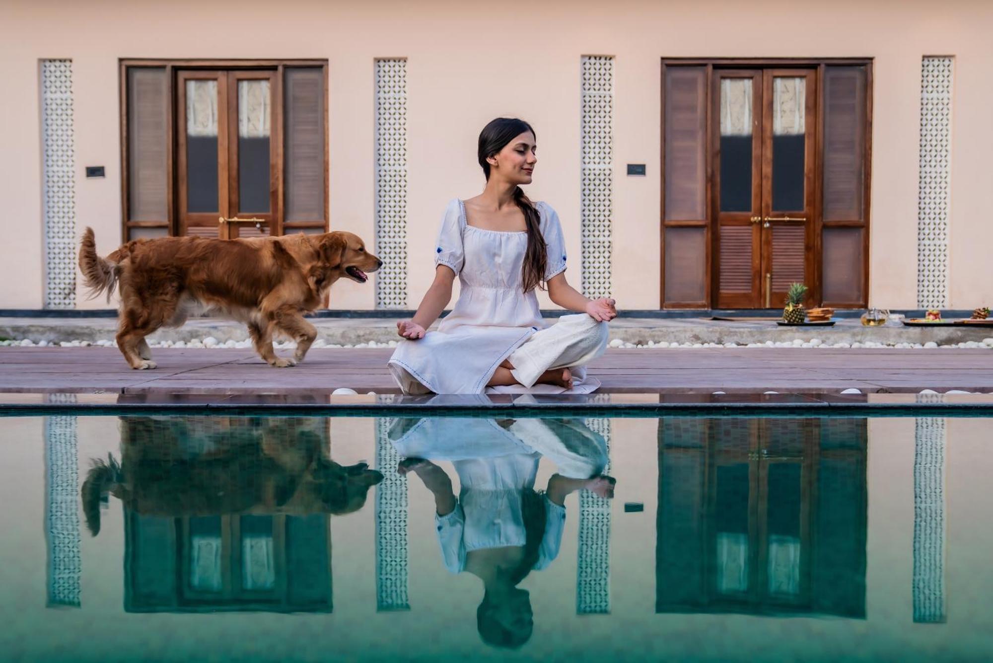 Parijat Private Pool Villa 1, 2 And 3 Bhk Udaipur Exteriör bild