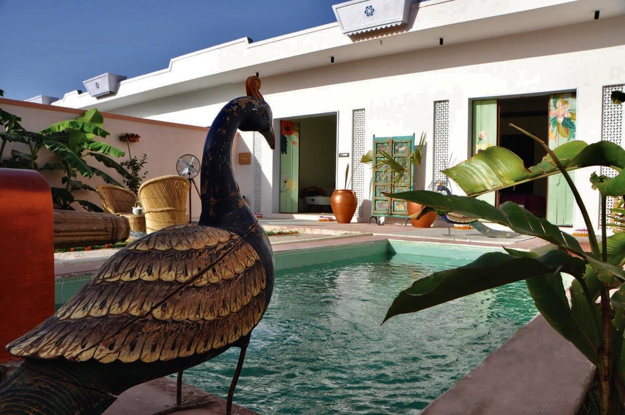 Parijat Private Pool Villa 1, 2 And 3 Bhk Udaipur Exteriör bild